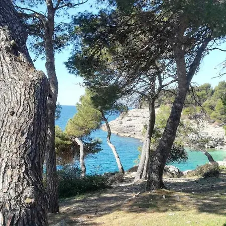 Sanda Apartment Pula